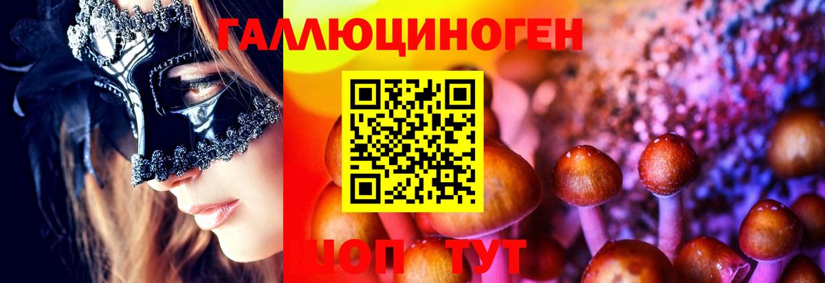 Псилоцибиновые грибы мицелий  как найти   Вход с VPN  Урай  Псилоцибиновые грибы Psilocybe 